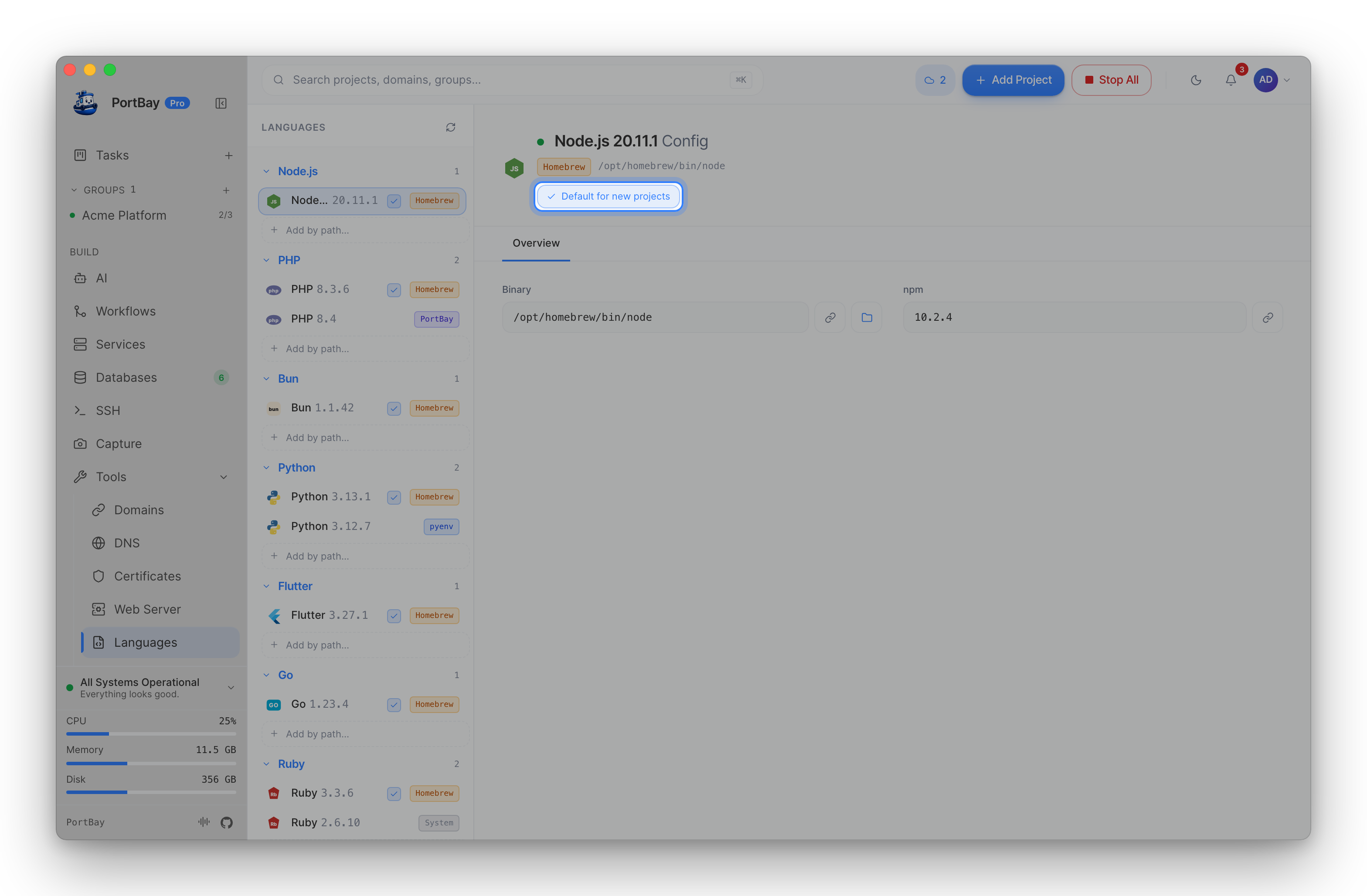 The Languages page with the Default for new projects button highlighted on Node.js 20.11.1